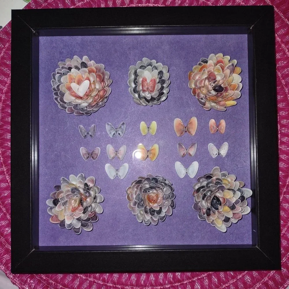 8" x 8" Coquina Shell flower butterfly craft picture - Picture 2 of 2
